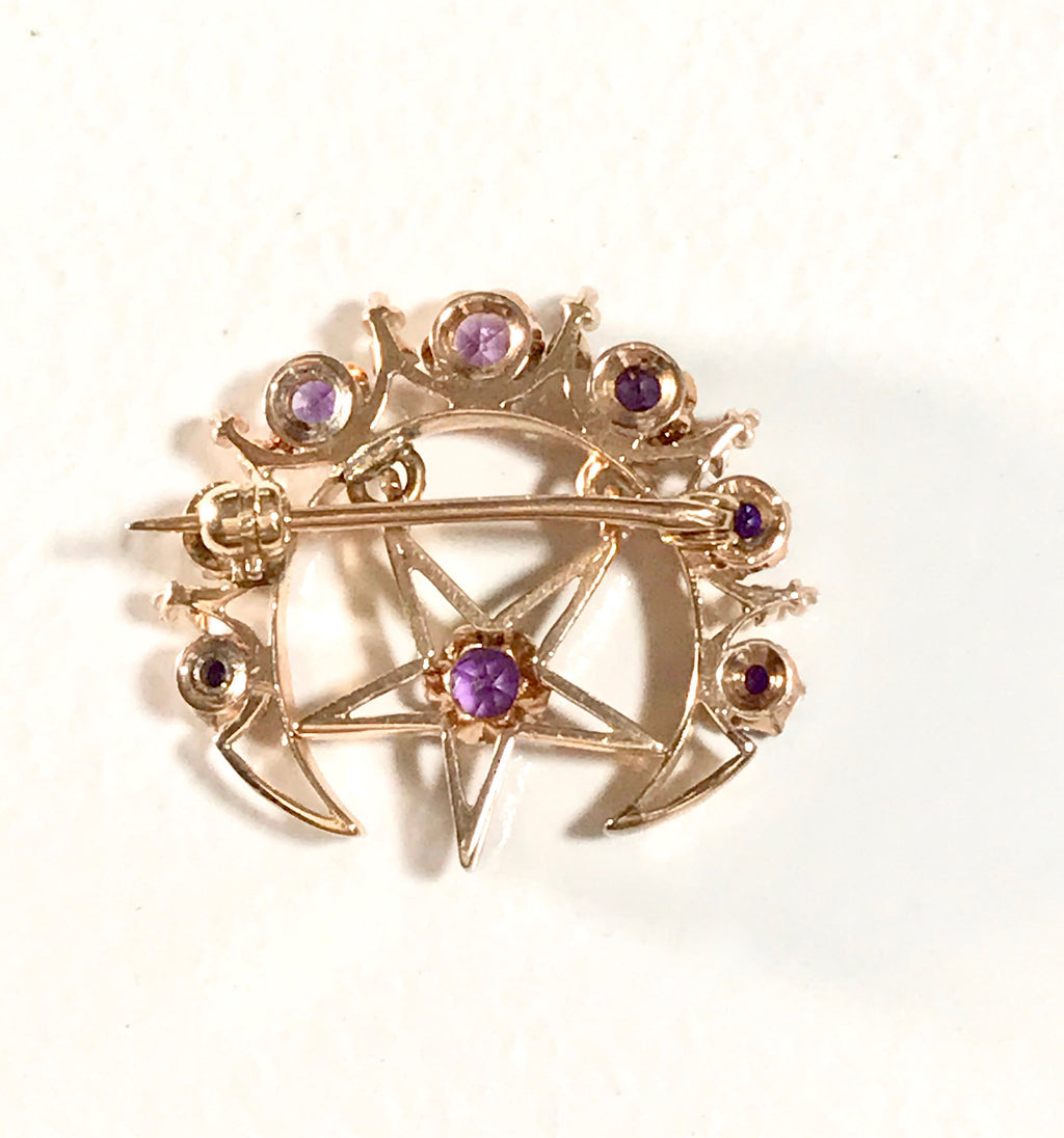 14K Yellow Gold Amethyst Moon and Star Brooch